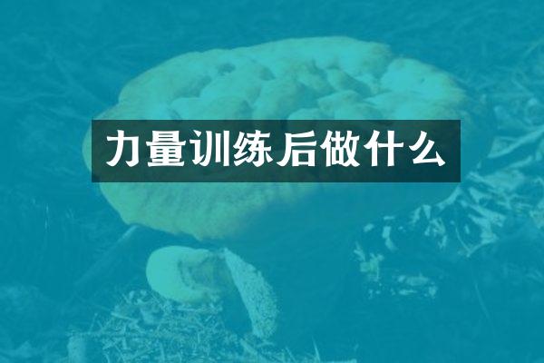 力量训练后做什么