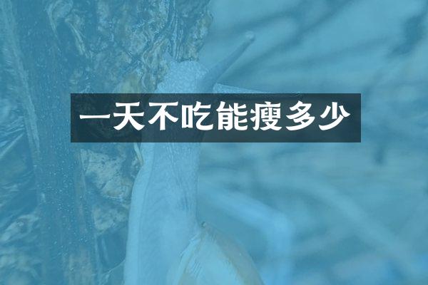一天不吃能瘦多少