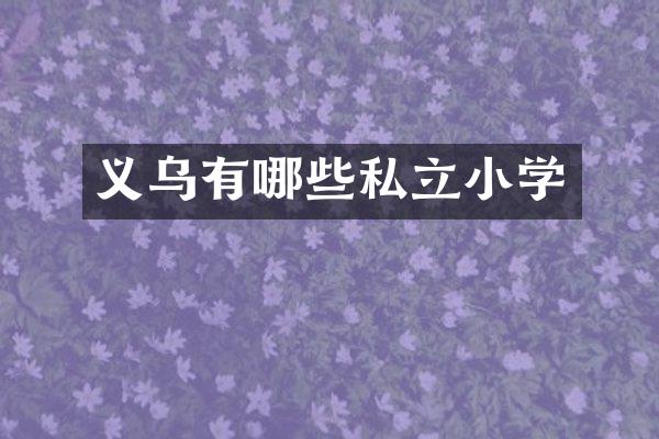 义乌有哪些私立小学