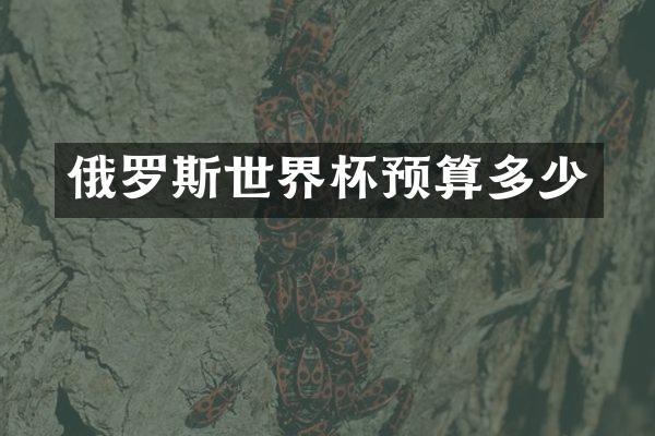 俄罗斯世界杯预算多少
