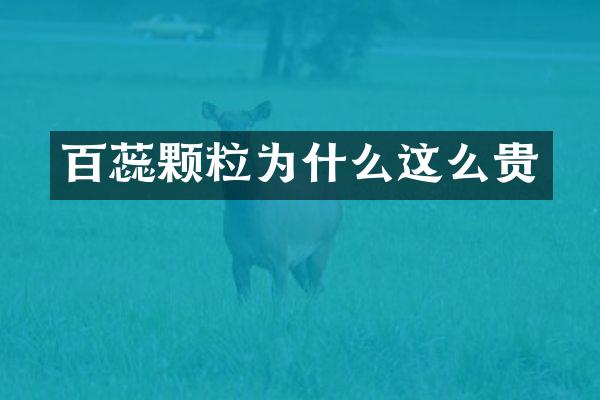 百蕊颗粒为什么这么贵
