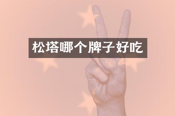 松塔哪个牌子好吃