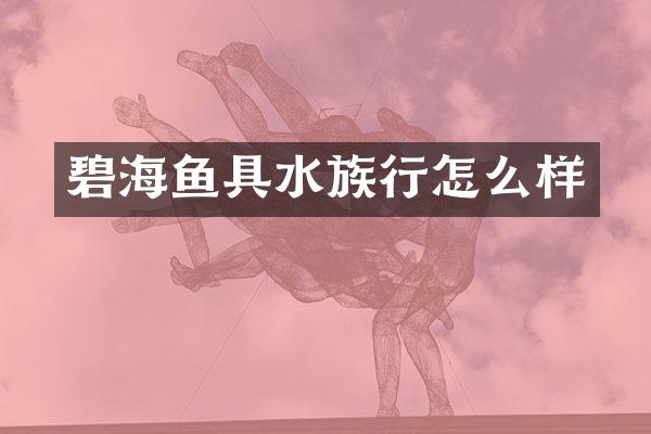 碧海鱼具水族行怎么样