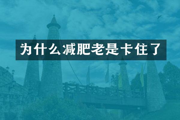 为什么减肥老是卡住了