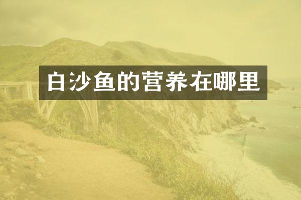 白沙鱼的营养在哪里