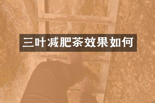 三叶减肥茶效果如何