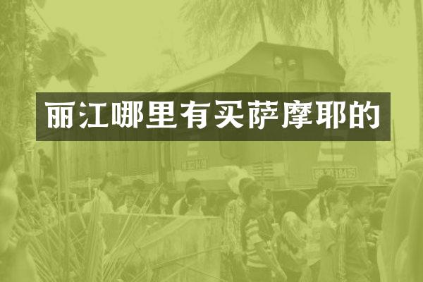 丽江哪里有买萨摩耶的