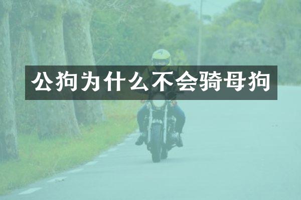 公狗为什么不会骑母狗