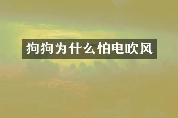狗狗为什么怕电吹风