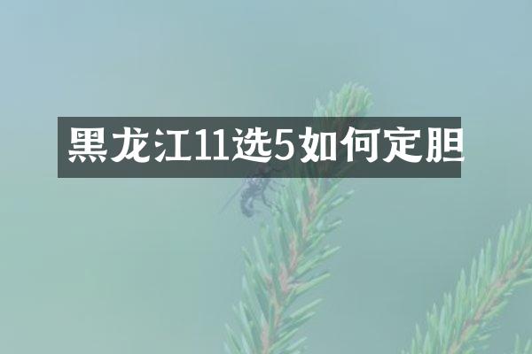 黑龙江11选5如何定胆