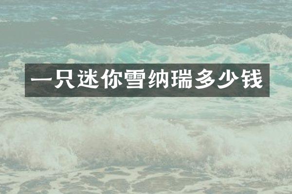 一只迷你雪纳瑞多少钱