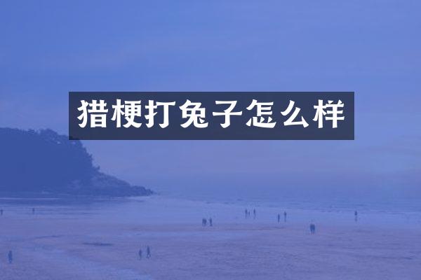 猎梗打兔子怎么样