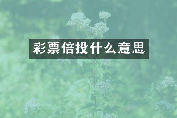 彩票倍投什么意思