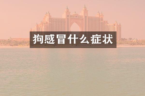 狗感冒什么症状
