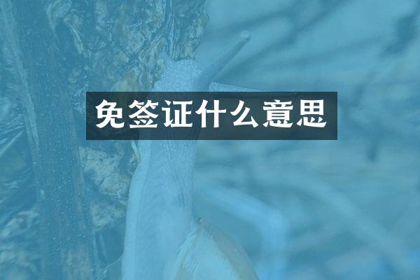 免签证什么意思