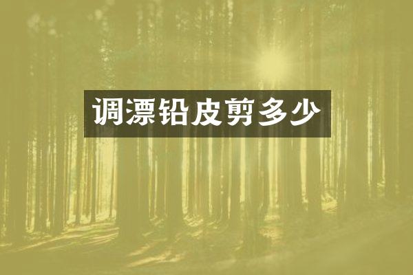 调漂铅皮剪多少