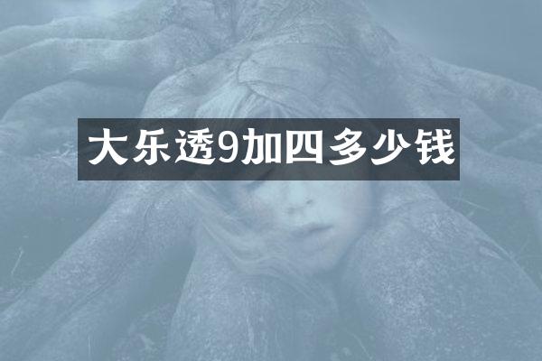 大9加四多少钱