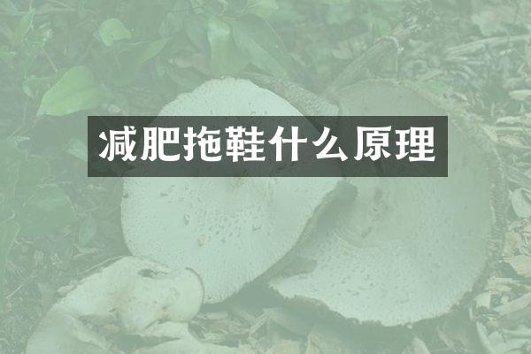 减肥拖鞋什么原理