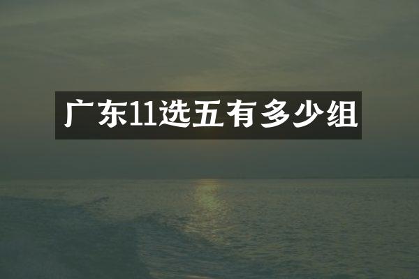 广东11选五有多少组