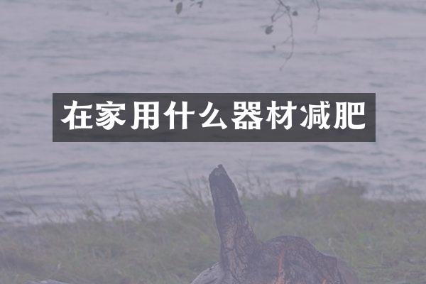 在家用什么器材减肥