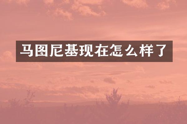 马图尼基现在怎么样了