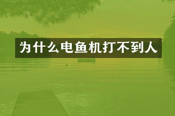 为什么电鱼机打不到人