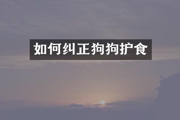 如何纠正狗狗护食