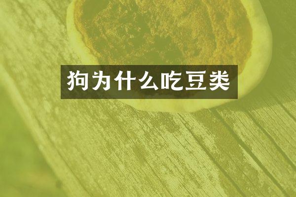 狗为什么吃豆类