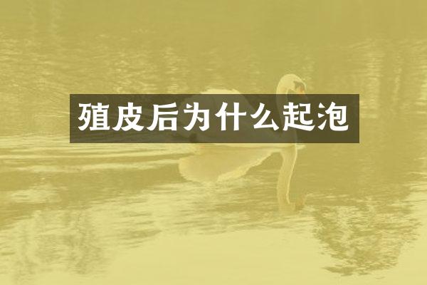 殖皮后为什么起泡