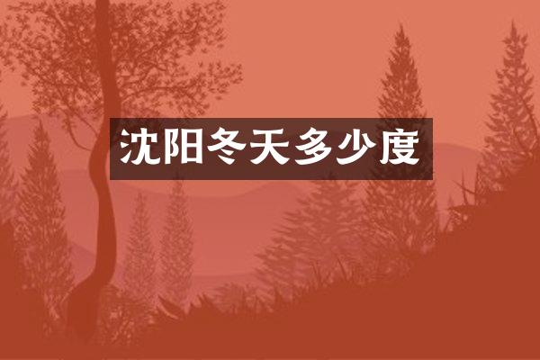 沈阳冬天多少度