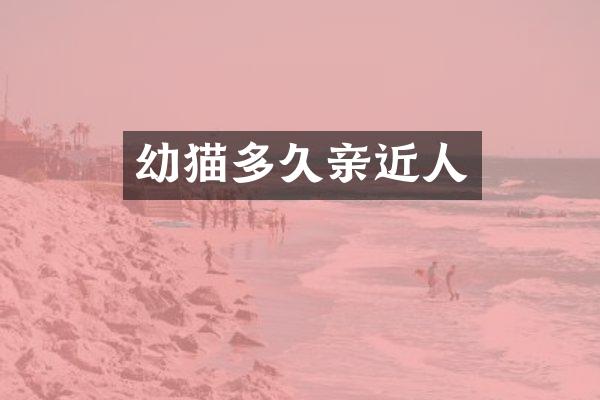 幼猫多久亲近人