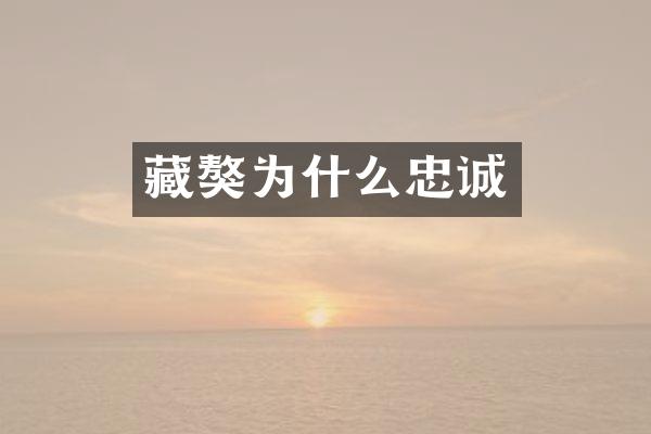 藏獒为什么忠诚