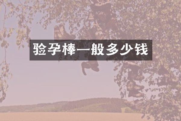 验孕棒一般多少钱