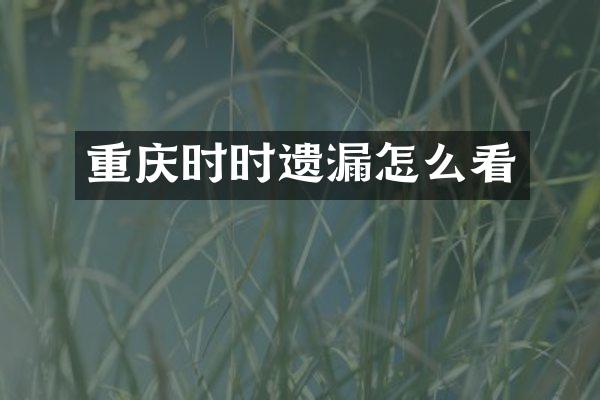 重庆时时遗漏怎么看