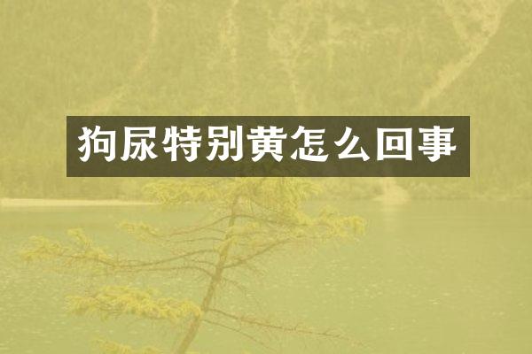 狗尿特别黄怎么回事