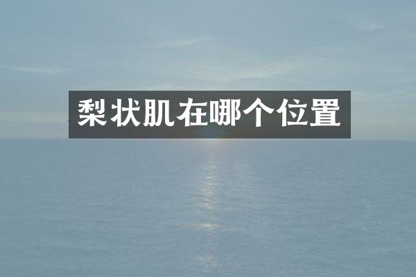 梨状肌在哪个位置