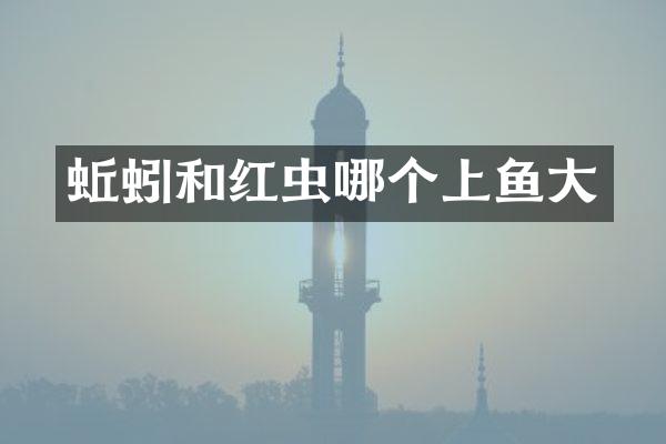 蚯蚓和红虫哪个上鱼大
