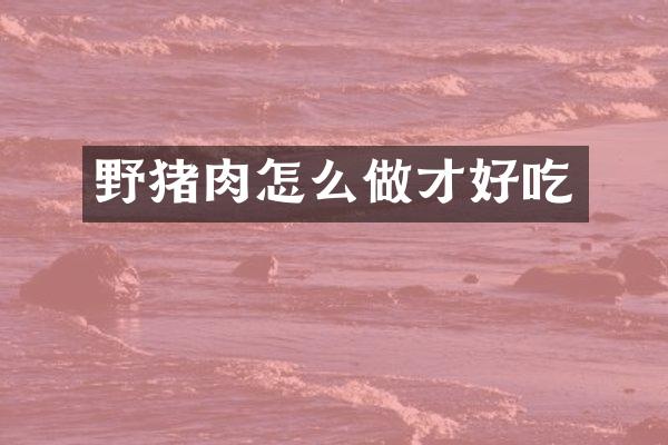 野猪肉怎么做才好吃