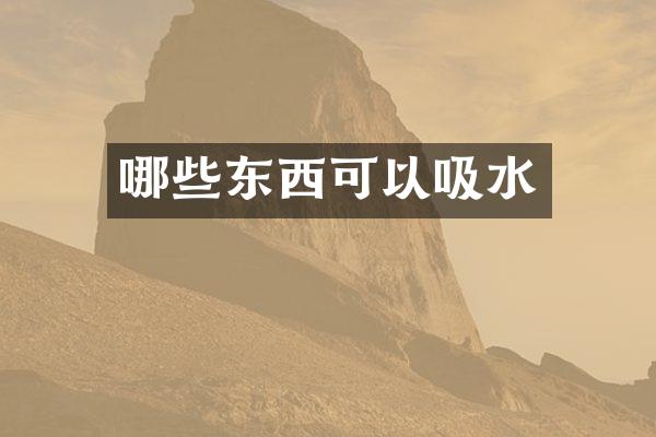 哪些东西可以吸水
