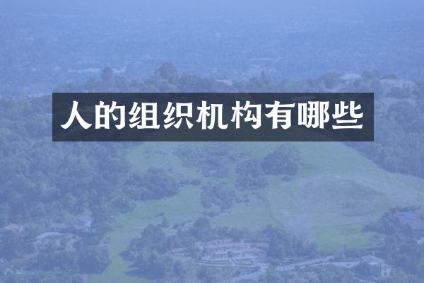人的组织机构有哪些