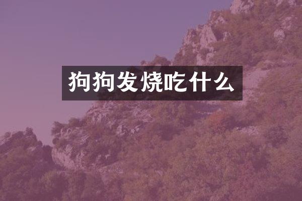 狗狗发烧吃什么
