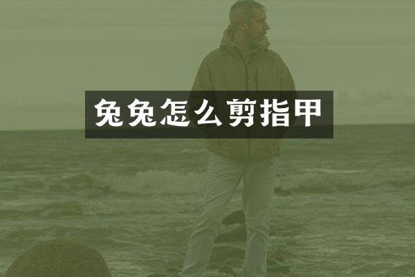 兔兔怎么剪指甲