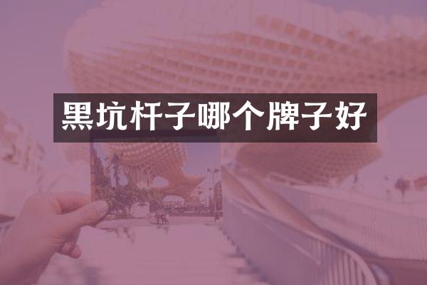 黑坑杆子哪个牌子好