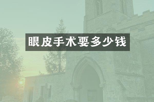 眼皮手术要多少钱