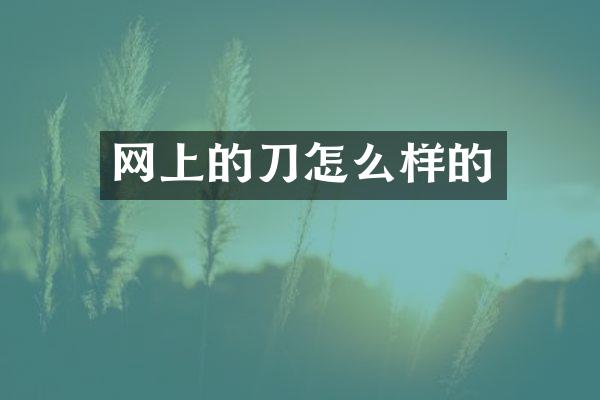 网上的刀怎么样的