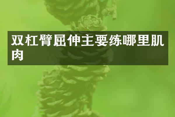 双杠臂屈伸主要练哪里肌肉