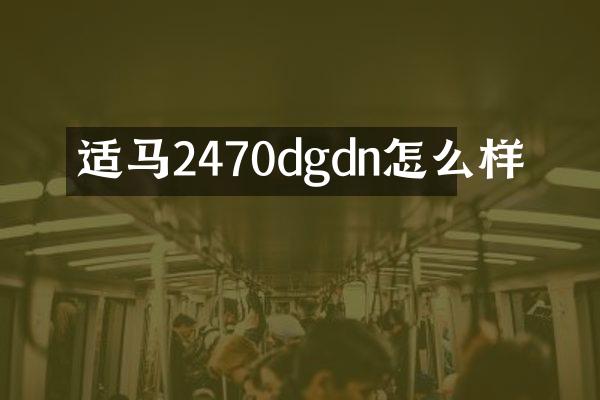 适马2470dgdn怎么样