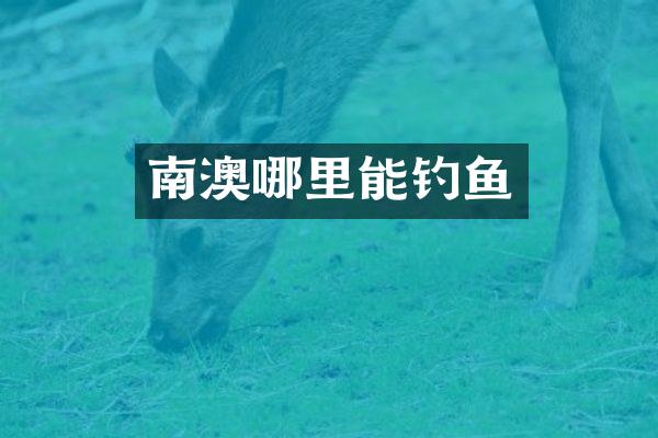 南澳哪里能钓鱼