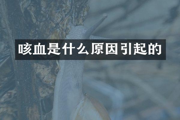 咳血是什么原因引起的