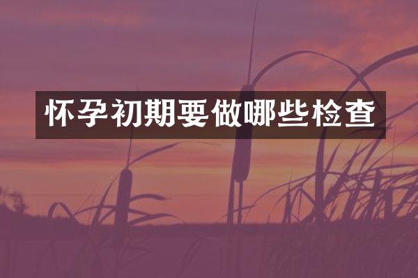 怀孕初期要做哪些检查